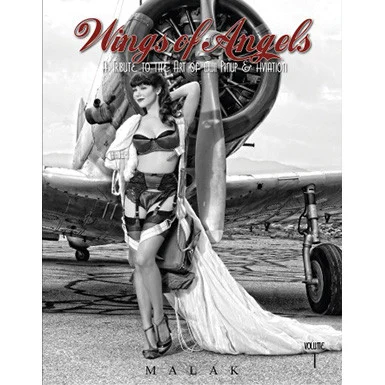 A Tribute to the Art of World War II Pin-Up and Aviation- Volume 1