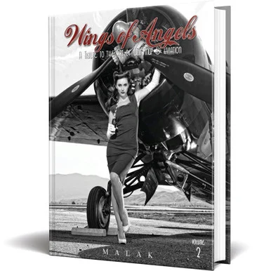 A Tribute to the Art of World War II Pin-Up and Aviation- Volume 2