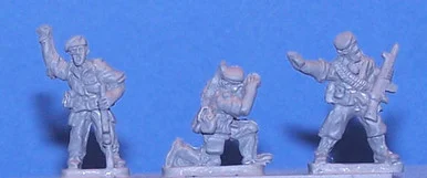 PIG170030 - REGULAR OFFICERS, BERET