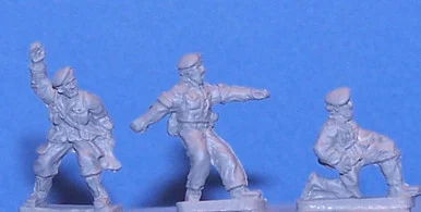 PIG170047 - BERET CREW