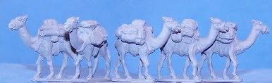 PIG030027 - PACK CAMELS (5)