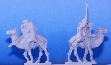 PIG030031 - TUAREG CAMEL, LANCES
