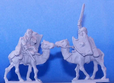 PIG030033 - TUAREG CAMEL, SWORDS