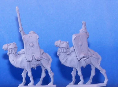 PIG030034 - TUAREG CAMEL COMMAND