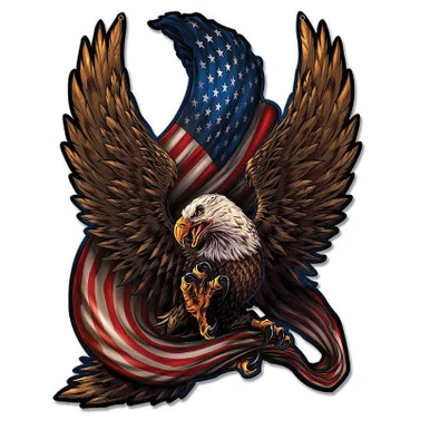Eagle and Flag Plasma Metal Sign - Vintage Sign Co.