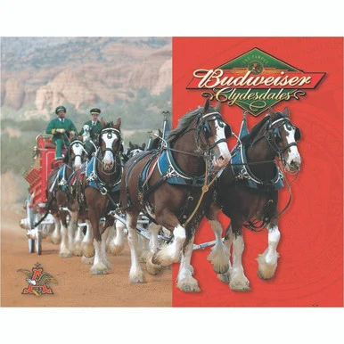 Budwieser Clydesdales Metal Sign - Desperate Enterprises