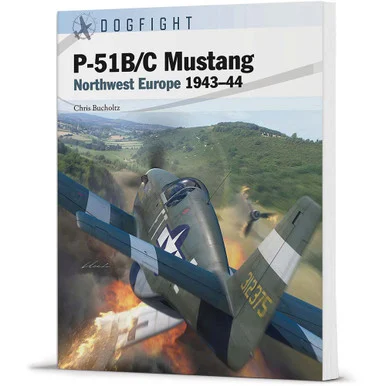 P-51B/C Mustang Dogfight
