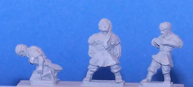 PIG220007 - DERVISH WOUNDED