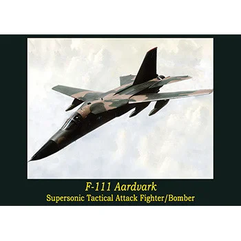 F-111 Aardvark - DVD