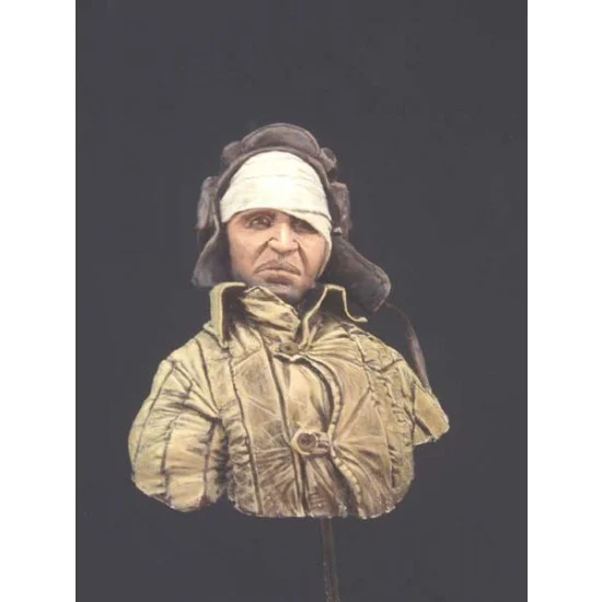AC Models 10B14 1/10 WWII Lieutenant Nechiporencko, November 1942 (1 Resin Bust) - Model Figures