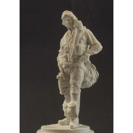 AC Models 75017 1/24 (75mm) USAAF 15th FG P-51D Mustang Pilot in Iwo Jima 1945 (1 Resin Figure)