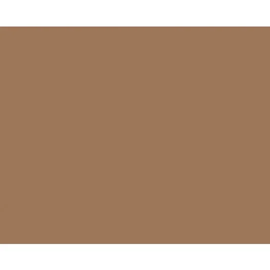 Vallejo 70874 Model Colour Acrylic Paint - USA Tan Earth 17ml