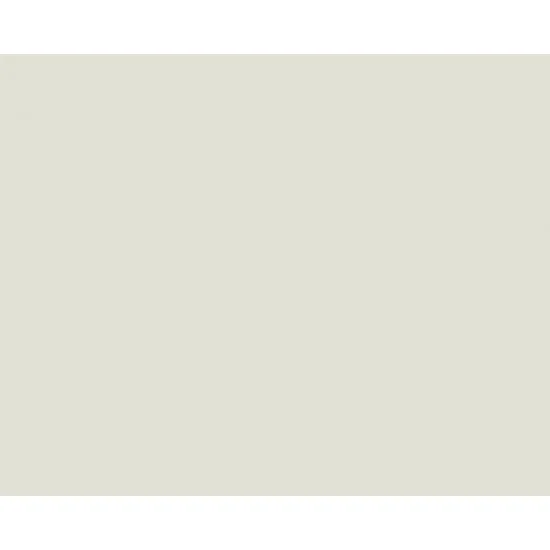 Vallejo 70883 Model Colour Acrylic Paint - Silver Grey 17ml