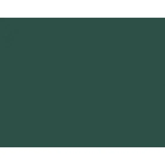 Vallejo 70896 Model Colour Acrylic Paint - German Cam Extra Dark Green 17ml