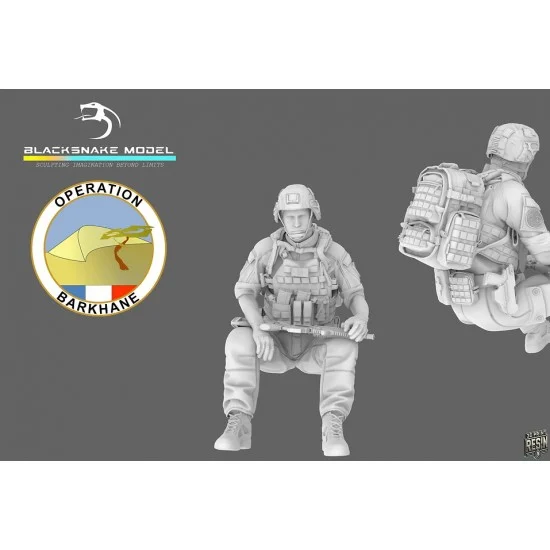 BlackSnake FR-08 1/35 French Army Operation Barkhane Soldier #8 (1 figure)