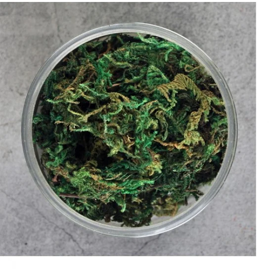 COR Make CJ2004A Ground Cover Long Grass/Shrub/Thorns #Green (500ml) - Scenics & Diorama