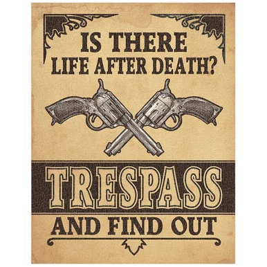 Life After Death Metal Sign (2347) - Desperate Enterprises