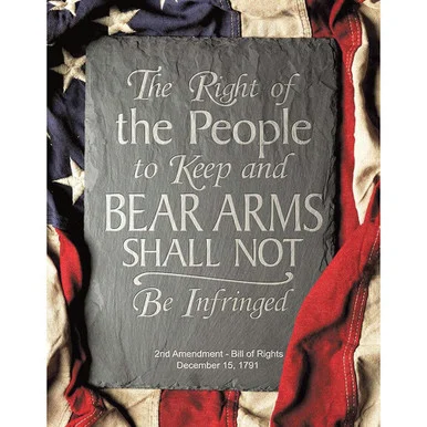 2nd Amendment Right Metal Sign Desperate (2364) - Desperate Enterprises