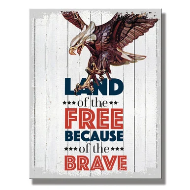 Land Of The Free Eagle Metal Sign 2802 - Desperate Enterprises