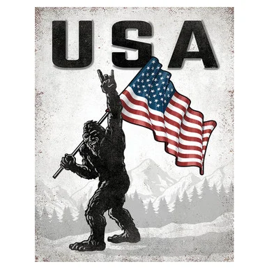 USA Sasquatch Metal Sign 2677 - Desperate Enterprises