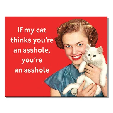 My Cat Metal Sign 2909 - Desperate Enterprises