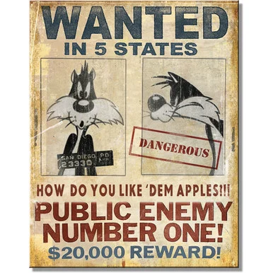Looney Tunes Wanted Metal Sign 2934 - Desperate Enterprises