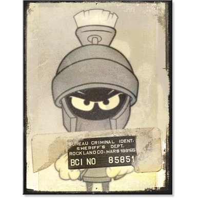 Marvin Mug Shot Metal Sign Desperate Enterprises (7254)