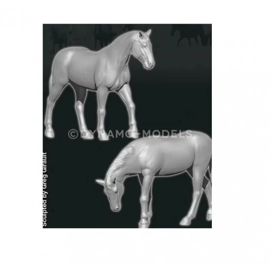 Dynamo 72A03 1/72 Animal Serie - Horses