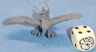 PIG190006 - HERO + RIDER
