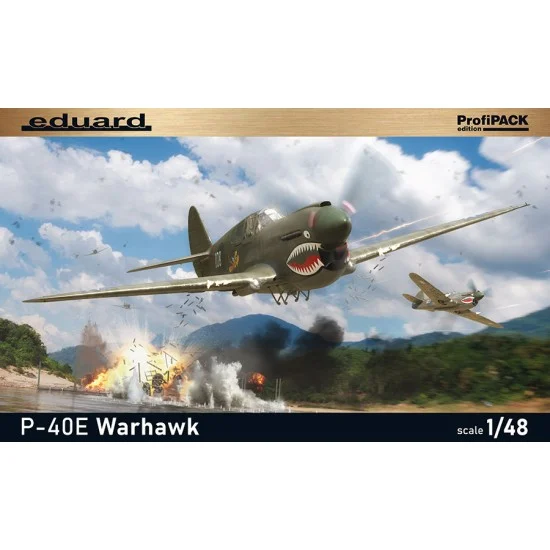 Eduard 82241 1/48 WWII US P-40E Warhawk Fighter [ProfiPACK]