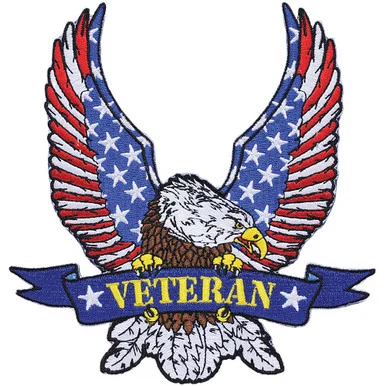 USA Veteran Eagle Patch PM9104 (M060) - Eagle Emblems