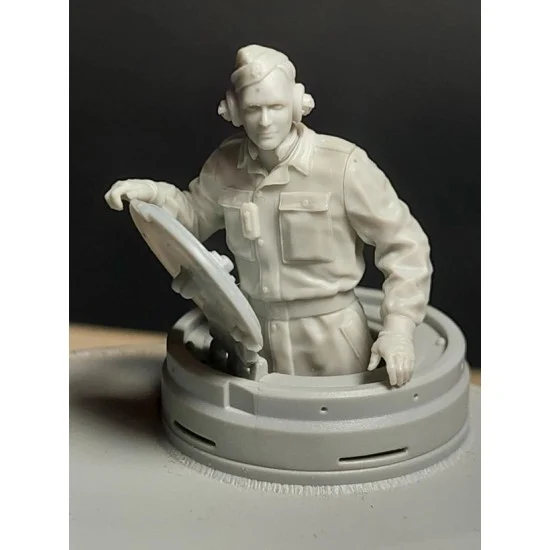Panzer Art FI35-264 1/35 Waffen-SS Tiger Commander (Operation Zitadelle)