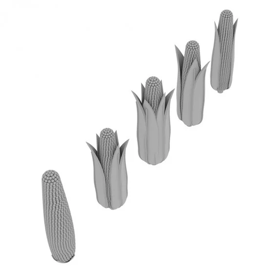 HD Models 35217 1/35 Corn Cobs - Scenics & Diorama