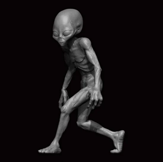 ION Model A24-001 1/24 Grey Alien #01