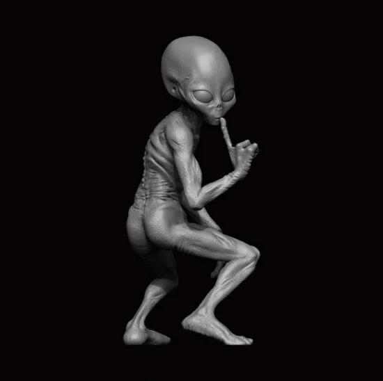 ION Model A24-002 1/24 Grey Alien #02
