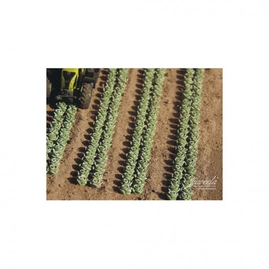 Juweela 28372 1/87 Lettuce, 450x - Scenics & Diorama