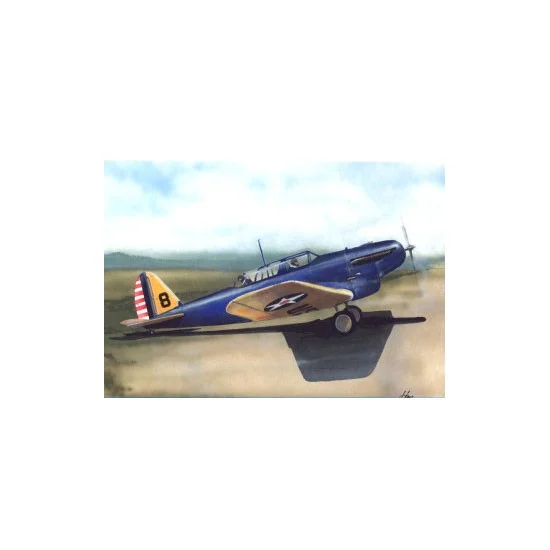 LF Models LF4814 1/48 Consolidated A-11 Complete Resin kit