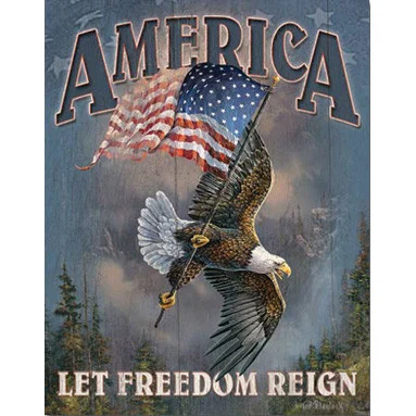 "America - Let Freedom Reign" Metal Sign