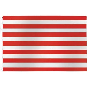 Sons of Liberty Flag - Ruffin Flag Company
