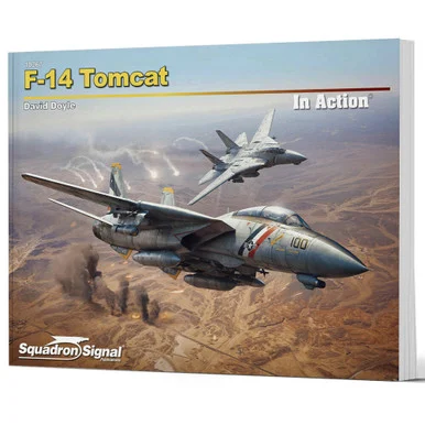 F-14 Tomcat In Action