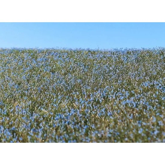 Model Scene F470 Agro Line Blooming Flax Field (18x28 cm) - Scenics & Diorama