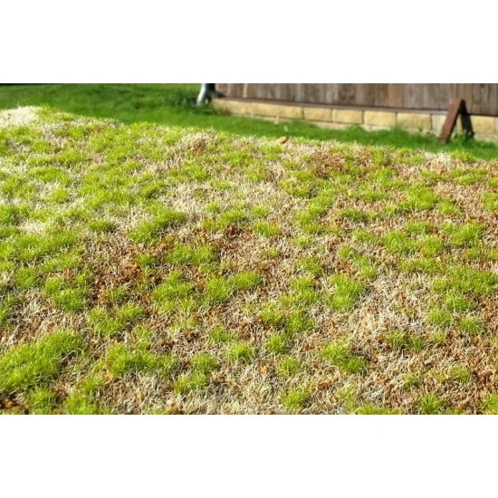 Model Scene F531 [Premium Line] Grass Mat - Steppe Spring (Size: 18x28cm / 7"x11")