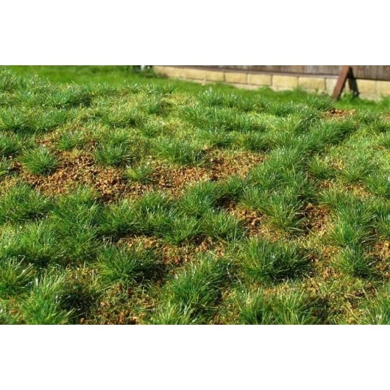 Model Scene F532 [Premium Line] Grass Mat - Steppe Green (Early Summer) (Size: 18x28cm / 7"x11")