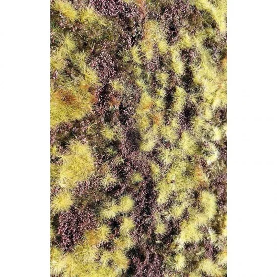 Model Scene F640 Forest Base Dry Heatland (18x28 cm) - Scenics & Diorama