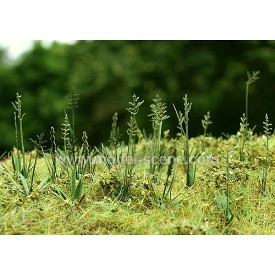 Model Scene VG3-015 1/32, 1/35 Fescue (5 Laser-cut Paper Sheets)