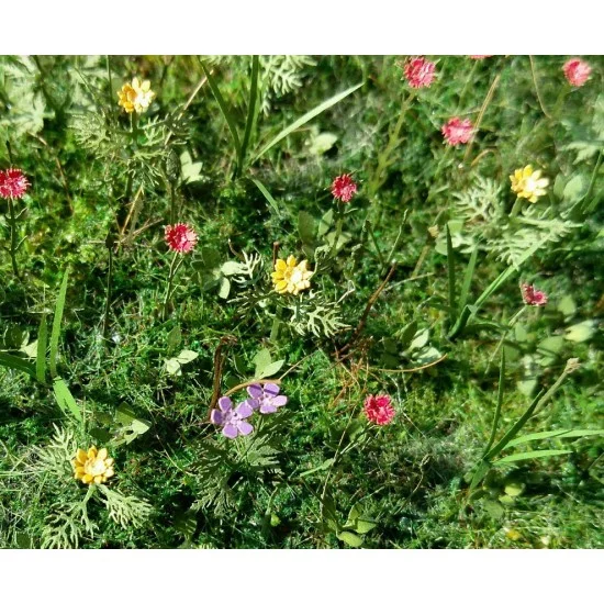 Model Scene VG3-028 1/35 Meadow Flowers (laser cut paper sheets)