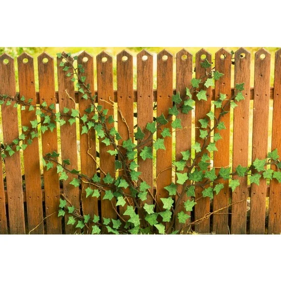 Model Scene VG3-029 1/35 Ivy (laser cut paper sheets)