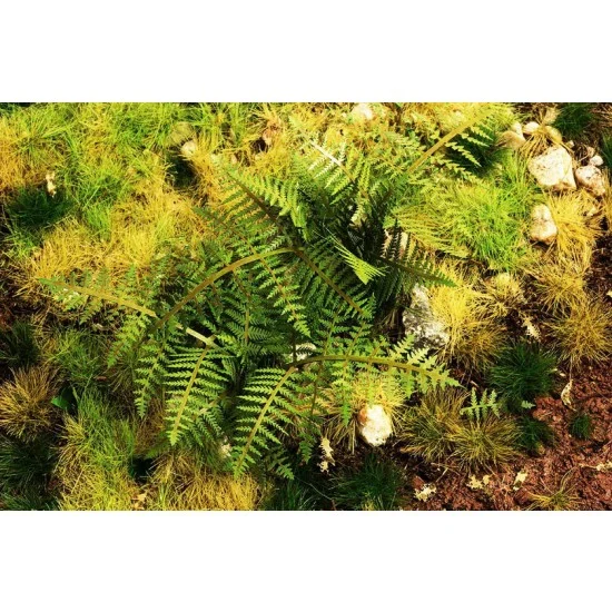 Model Scene VG3-030 1/35 Bracken Fern (laser cut paper sheets)