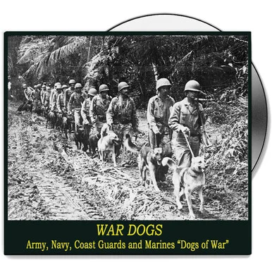 War Dogs - DVD