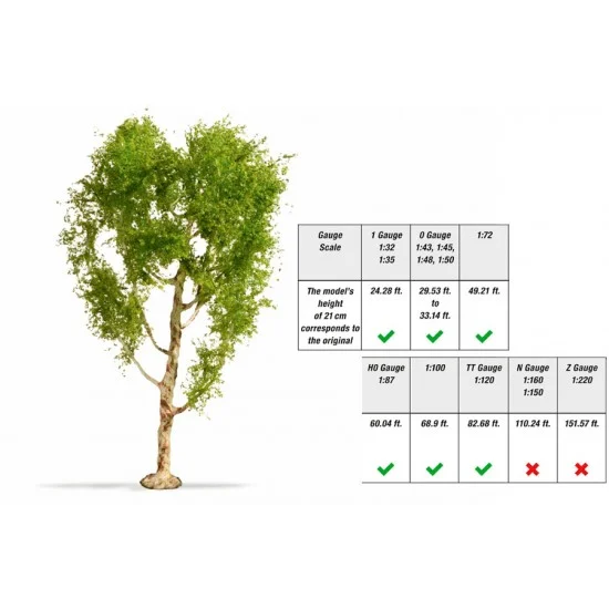 NOCH 20125 Downy Birch Tree (height: 21cm, assembled and painted) - Scenics & Diorama